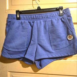 Hurley Shorts Sz LG (Fits like Med)